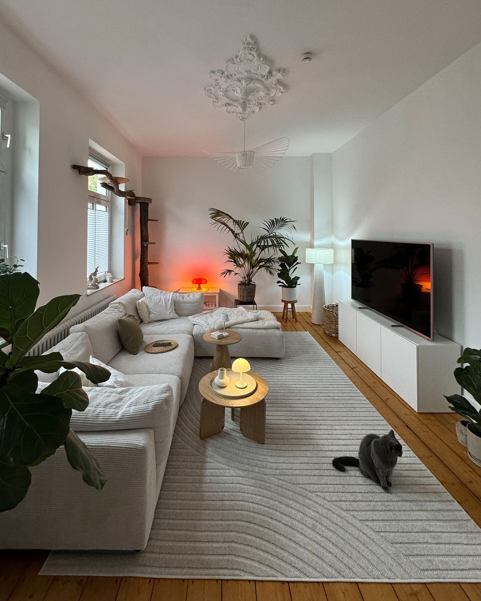 How to Use a Karcher Window Vacuum for Best Results