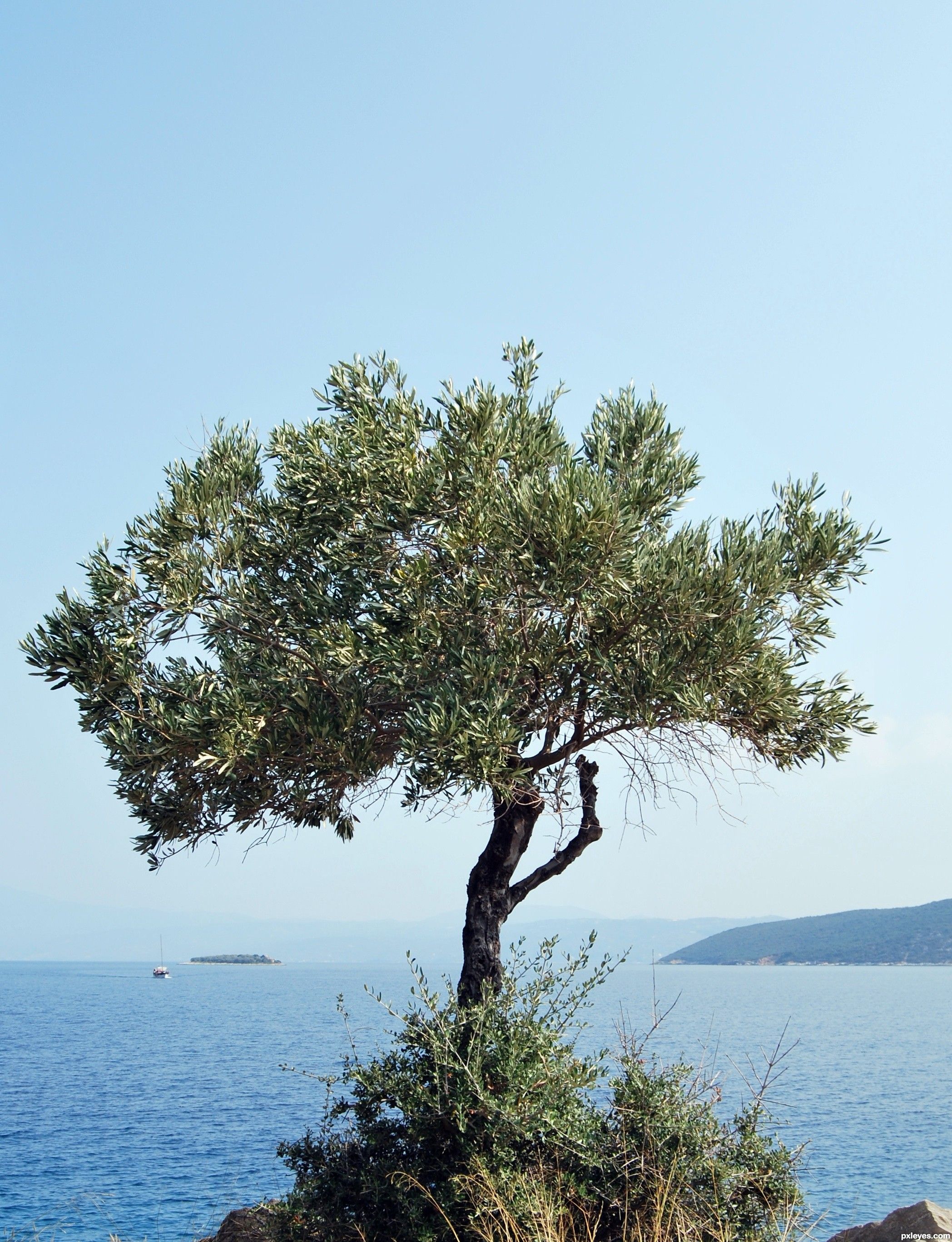 Five Things on a Friday – 7/8/22